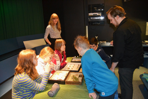 Educational activities for young students are central to Jyväskylä University Museum’s teaching mission. Here, students explore the Natural History Museum’s butterfly collections. Photo: Pirjo Vuorinen, Jyväskylä University Museum Collections
